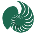 Nautilus shell green.png